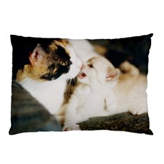 Calico Cat And White Kitty Pillow Cases