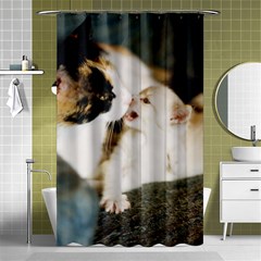 Calico Cat And White Kitty Shower Curtain 48  X 72  (small) 