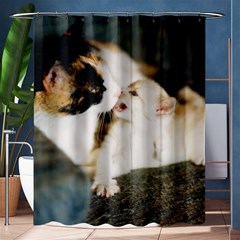 Calico Cat And White Kitty Shower Curtain 60  X 72  (medium) 