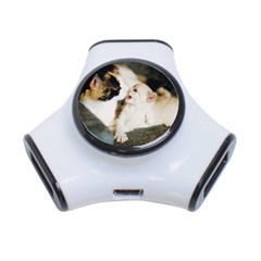 Calico Cat And White Kitty 3-port Usb Hub by trendistuff