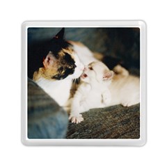 Calico Cat And White Kitty Memory Card Reader (square) 