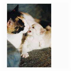 Calico Cat And White Kitty Small Garden Flag (two Sides)