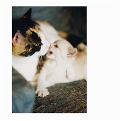 Calico Cat And White Kitty Large Garden Flag (two Sides)