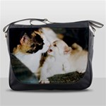 CALICO CAT AND WHITE KITTY Messenger Bags