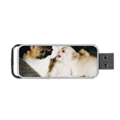 Calico Cat And White Kitty Portable Usb Flash (one Side)