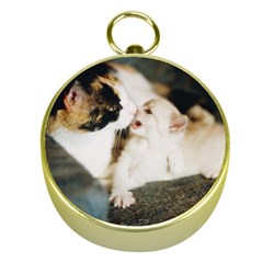 Calico Cat And White Kitty Gold Compasses