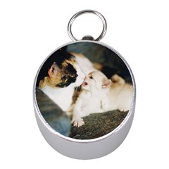 Calico Cat And White Kitty Mini Silver Compasses