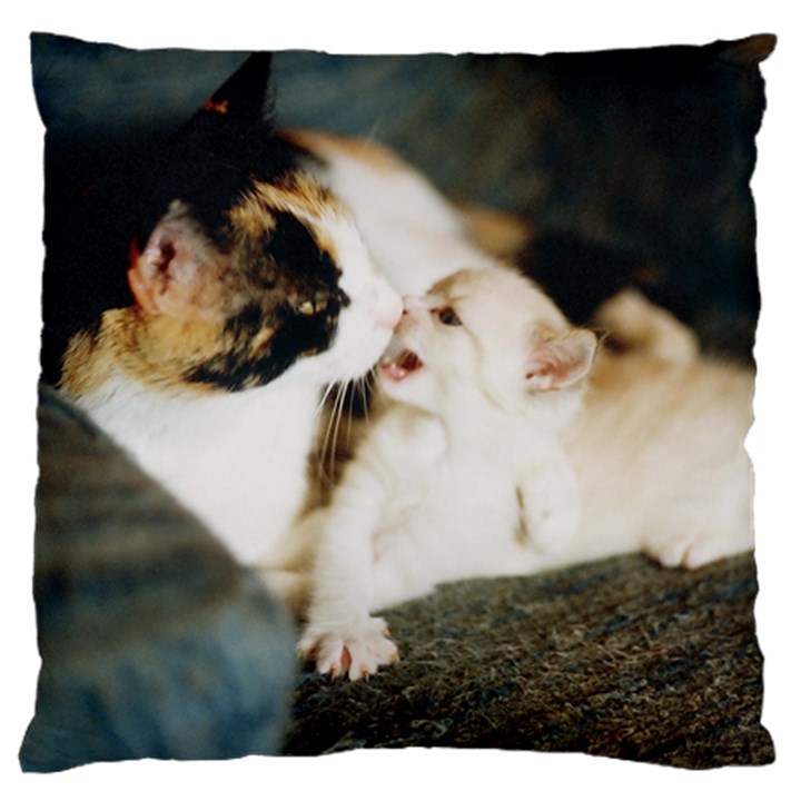 CALICO CAT AND WHITE KITTY Large Flano Cushion Cases (Two Sides) 