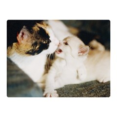 Calico Cat And White Kitty Double Sided Flano Blanket (mini) 