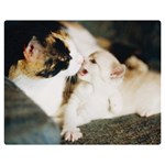 CALICO CAT AND WHITE KITTY Double Sided Flano Blanket (Medium) 