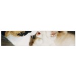 CALICO CAT AND WHITE KITTY Flano Scarf (Small) 