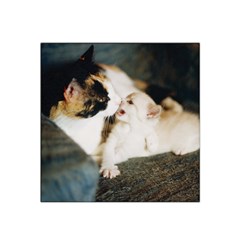 Calico Cat And White Kitty Satin Bandana Scarf