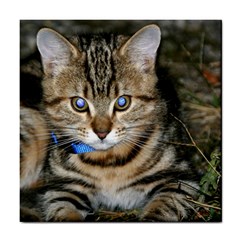 Blue-eyed Kitty Tile Coasters by trendistuff