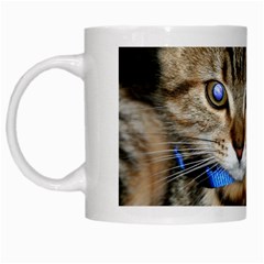 Blue-eyed Kitty White Mugs by trendistuff