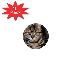 Blue-eyed Kitty 1  Mini Buttons (10 Pack)  by trendistuff