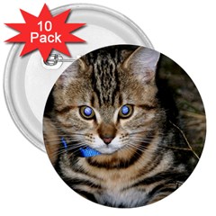 Blue-eyed Kitty 3  Buttons (10 Pack)  by trendistuff