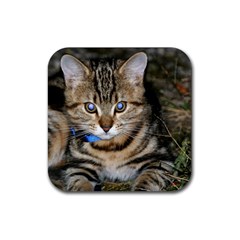 Blue-eyed Kitty Rubber Coaster (square)  by trendistuff