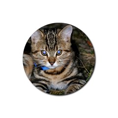 Blue-eyed Kitty Rubber Round Coaster (4 Pack)  by trendistuff