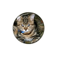 Blue-eyed Kitty Hat Clip Ball Marker (10 Pack) by trendistuff