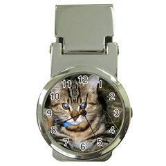 Blue-eyed Kitty Money Clip Watches by trendistuff