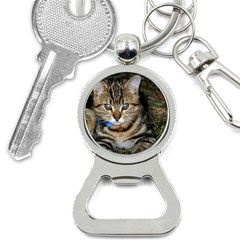 Blue-eyed Kitty Bottle Opener Key Chains by trendistuff