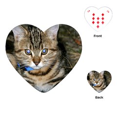 Blue-eyed Kitty Playing Cards (heart) 