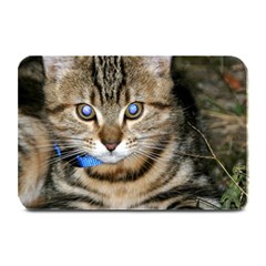 Blue-eyed Kitty Plate Mats