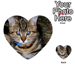 Blue-eyed Kitty Multi-purpose Cards (heart)  by trendistuff