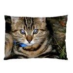 BLUE-EYED KITTY Pillow Cases 26.62 x18.9  Pillow Case