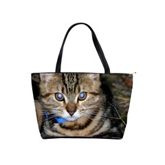 Blue-eyed Kitty Shoulder Handbags by trendistuff