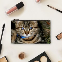 Blue-eyed Kitty Cosmetic Bag (small)  by trendistuff