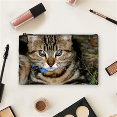 Blue-eyed Kitty Cosmetic Bag (medium)  by trendistuff