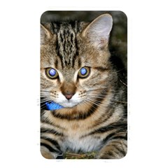 Blue-eyed Kitty Memory Card Reader by trendistuff