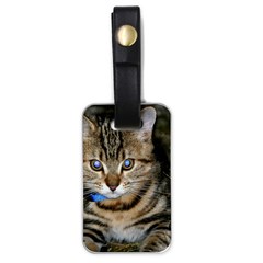 Blue-eyed Kitty Luggage Tags (one Side)  by trendistuff