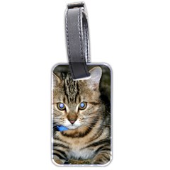 Blue-eyed Kitty Luggage Tags (two Sides) by trendistuff