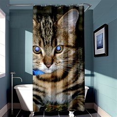 Blue-eyed Kitty Shower Curtain 36  X 72  (stall) 