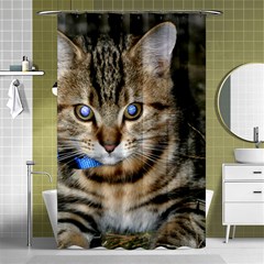 Blue-eyed Kitty Shower Curtain 48  X 72  (small)  by trendistuff