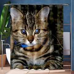 Blue-eyed Kitty Shower Curtain 60  X 72  (medium) 