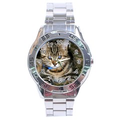 Blue-eyed Kitty Stainless Steel Men s Watch by trendistuff