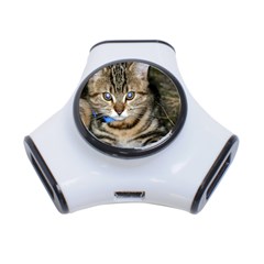 Blue-eyed Kitty 3-port Usb Hub by trendistuff