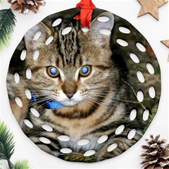 Blue-eyed Kitty Ornament (round Filigree)  by trendistuff