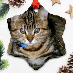 Blue-eyed Kitty Ornament (snowflake) 