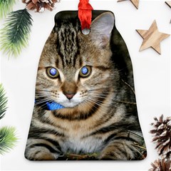 Blue-eyed Kitty Bell Ornament (2 Sides) by trendistuff