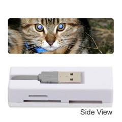 Blue-eyed Kitty Memory Card Reader (stick) 