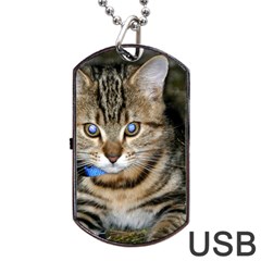 Blue-eyed Kitty Dog Tag Usb Flash (one Side)