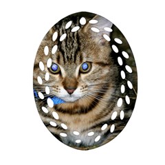 Blue-eyed Kitty Oval Filigree Ornament (2-side)  by trendistuff