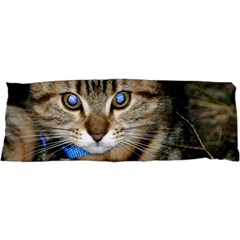 Blue-eyed Kitty Samsung Galaxy Nexus S I9020 Hardshell Case by trendistuff