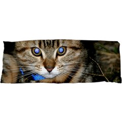 Blue-eyed Kitty Samsung Galaxy Sl I9003 Hardshell Case by trendistuff