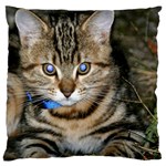 BLUE-EYED KITTY Large Cushion Cases (One Side)  Front