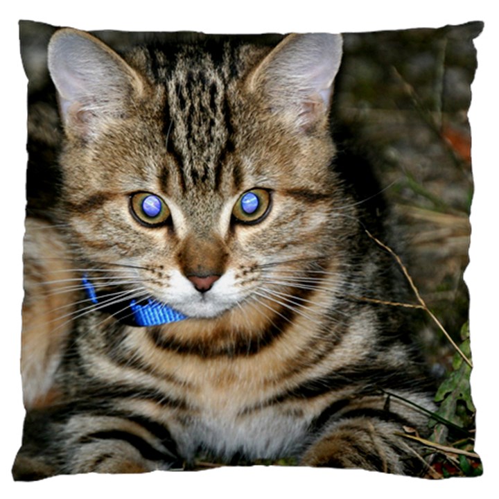 BLUE-EYED KITTY Large Cushion Cases (One Side) 